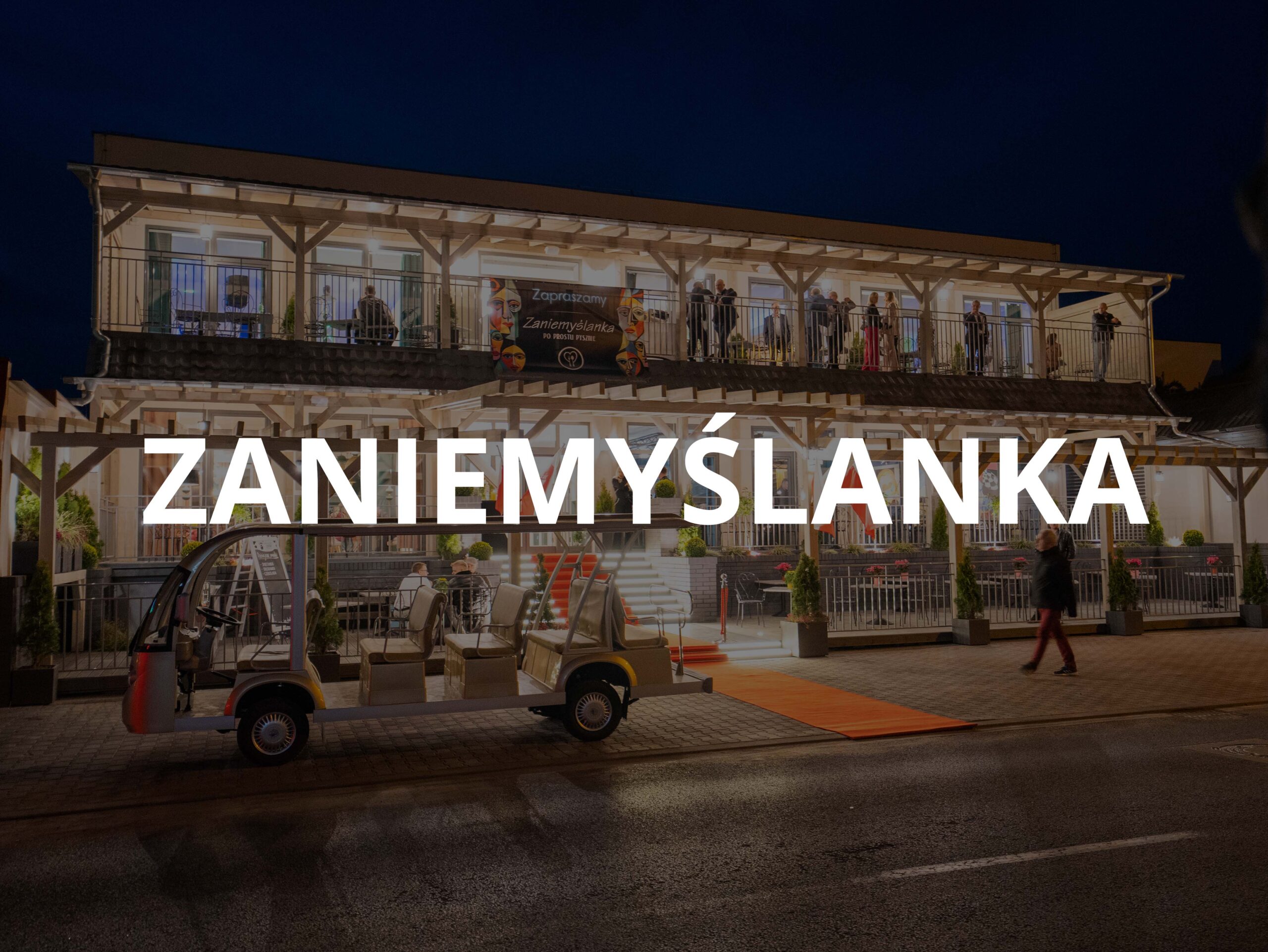 zaniemyślanka
